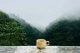 specialty coffee,coffee,coffee flavors,coffee grounds,robusta coffee