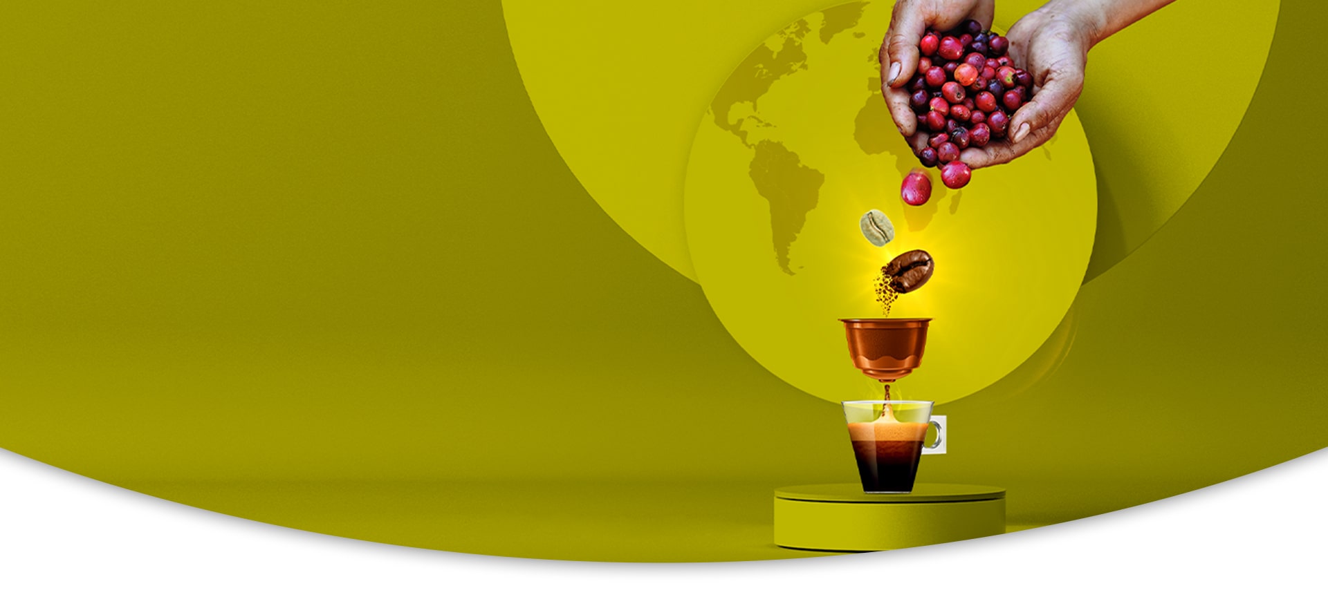 World Class Premium Coffee Origins