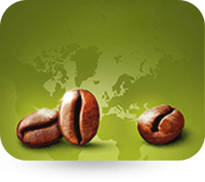 World Class Premium Coffee Origins